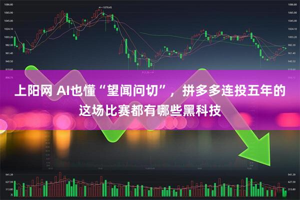 上阳网 AI也懂“望闻问切”，拼多多连投五年的这场比赛都有哪些黑科技